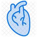 Human Heart Heart Cardiology Icon