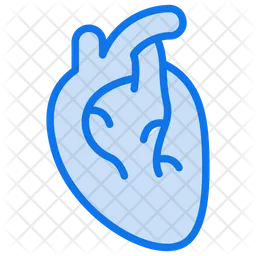 Human heart  Icon