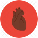 Human Heart  Icon