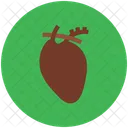 Human Heart  Icon