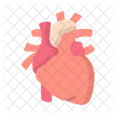 Heart Icon