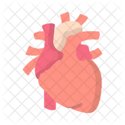 Human Heart  Icon