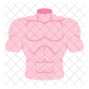 Human Body Sixpack Icon