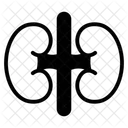 Human Body Icon