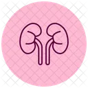 Human Kidneys Icon