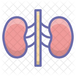 Human Kidneys  Icon