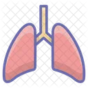 Lungs Pulmonology Respiratory Tract Icon