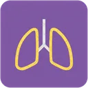 Lungs Anatomy Breathe Icon