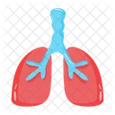 폐 기관 인간 폐 인간 기관 아이콘