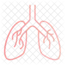 Human lungs  Icon