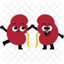 Human Organ Kidney Character Icon