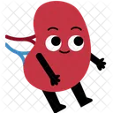 Human Organ Spleen Character Icon