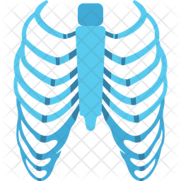 Human Ribs Icon - Download in Flat Style