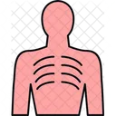 Human ribs  Icon