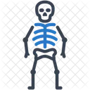 Human Skeleton Bone Icon