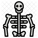 Human Skeleton  アイコン