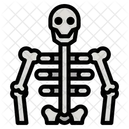 Human Skeleton  Icon