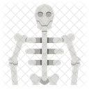 Human Skeleton  Icon