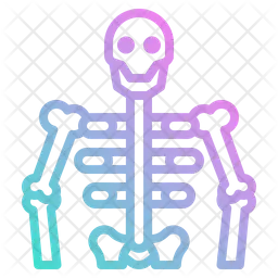 Human Skeleton  Icon