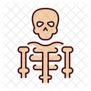 Human skeleton  Icon