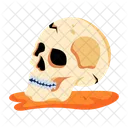 Scary Skull Skeleton Skull Human Skull Icon