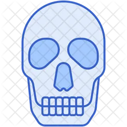 Human Skull  Icon