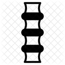 Human Body Icon