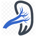 Gland Lymph Lymphatic System Icon