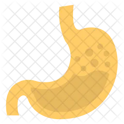 Human Stomach  Icon