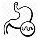 Human Stomach  Icon