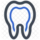Human tooth  Icon