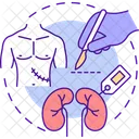 Organ Trade Transplant Icon