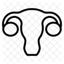 Human Body Icon