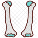 Humerus Arm Bone Bone Marrow Icône