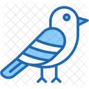 Humming Bird  Icon