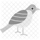 Humming Bird Bird Fast Bird Symbol
