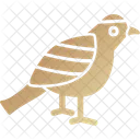 Humming Bird Bird Fast Bird Symbol