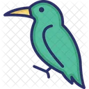 Hummingbird Toucan Bird Icon
