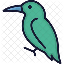Hummingbird  Icon