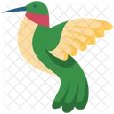 Hummingbird Bird Zoology Icon