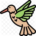 Hummingbird Fauna Animal Icon