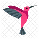 Hummingbird Bird Animal Icon