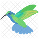 Hummingbird Ramphastos Fauna Icon