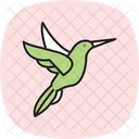 Hummingbird Toucan Bird Icon