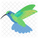 Hummingbird  Icon