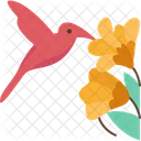 Hummingbird  Symbol