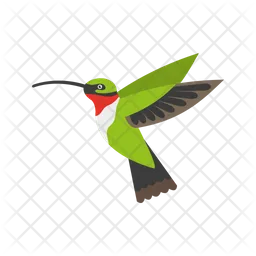 Hummingbirds  Icon