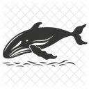 Humpback Whale Cetacean Baleen Whale Icon
