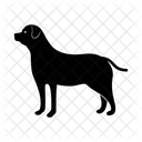 Hund  Symbol