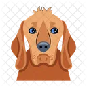 Hundesymbole Tiersymbole Haushund Icon